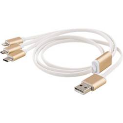 Epzi USB A-Lightning/USB B Micro/USB C 1m