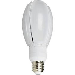NASC Olive LED Lamps 30W E27