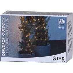 Star Trading Dew Drop Lichterkette 100 Lampen