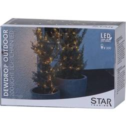 Star Trading Dew Drop Lichterkette 200 Lampen