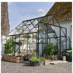 Halls Greenhouses Qube+ 88 6.6m² 3mm Aluminium Gehärtetes Glas