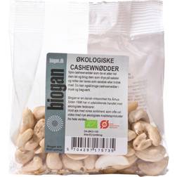 Biogan Cashew Nut Eco 100g