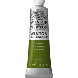 Winsor & Newton Winton Oil Color Sap Green 37ml