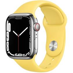 Apple Watch Series 7 Cellular 45mm Stainless Steel Case with Sport Band