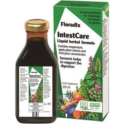 Floradix DARM-CARE Kruter-Tonikum plus Salus 250 ml