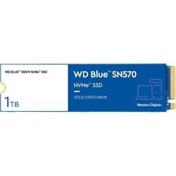 Western Digital Blue SN570 WDS100T3B0C 1TB