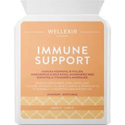 Wellexir Immune Support 60 Stk.