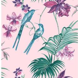 Boutique Graham & Brown Julien Macdonald Utopia Pink Wallpaper Paper wilko
