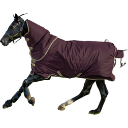 Horseware Amigo Hero Ripstop Turnout Blanket 100g