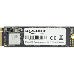 DeLock M.2 2280 NVMe SSD 256GB