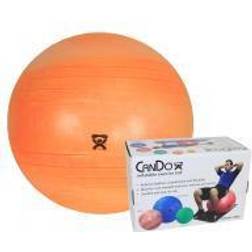Cando Inflatable ABS Exercise Ball- 55cm 22, Quill