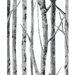 NextWall Birch Trees Peel and Stick Wallpaper
