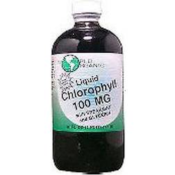 World Organics Liquid Chlorophyll with Spearmint and Glycerin 100 Mg, 16 Fl Oz