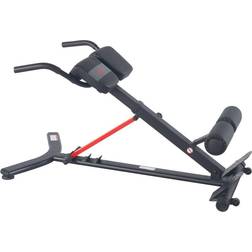 Sunny Health & Fitness Hyperextension Roman Chair with Dip Station
