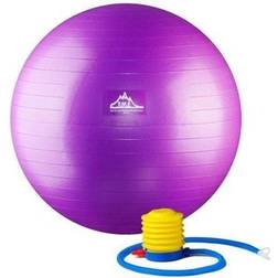 PSPURP 75CM 2000 lbs Professional Grade Stability Ball with Pump, 75 cm