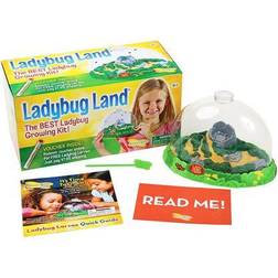 ILP2100 Ladybud Land
