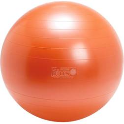 Gymnic Plus Exercise Ball 65 cm
