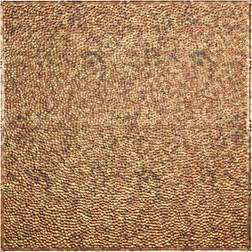 Fasade Border Fill 2'x2' Lay In Ceiling Tile Cracked Copper 5pk