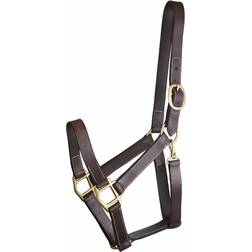 Gatsby Track Style Turnout Snap Halter Cob