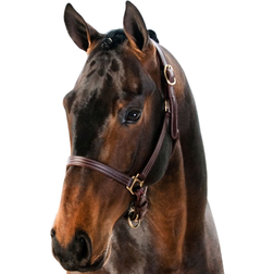 Finn Tack American Quality Leather Halter