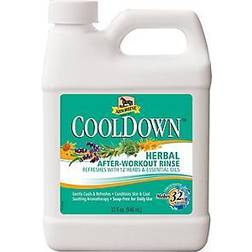 Absorbine CoolDown After-Workout Rinse 946ml