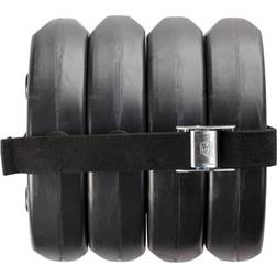 Canopy Weight Plates with Carry Strap