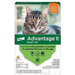 Bayer Advantage II for Cats 6-Month