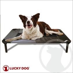 Lucky Dog 36 in. Elevated Pet Bed