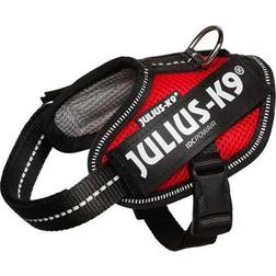 Julius-K9 Julius K-9 Idc® Powair 2