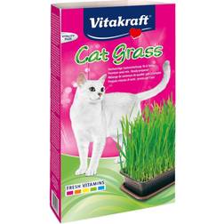 Vitakraft Cat Grass Indoor 6x120g