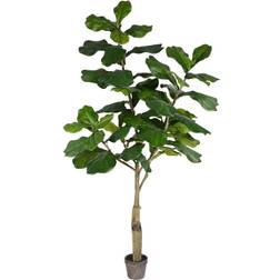 Vickerman 6' Artificial Potted Fiddle Tree With 65 Leaves Unisex Christmas Tree
