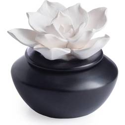 Airome Gardenia Porcelain Diffuser