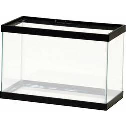 Standard Glass Rectangle Aquarium 9.46L