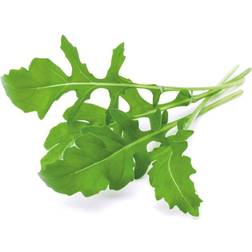 Click and Grow Arugula Plant Pods 3-pack