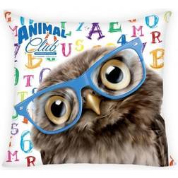 MCU Animal Club Owl Pillow 40x40cm
