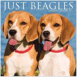 Willow Creek Press Just Beagles 2023 Calendar