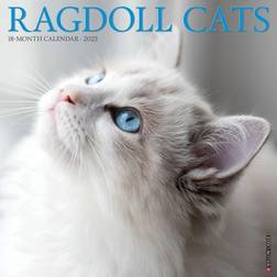 Willow Creek Press Ragdoll Cats 2023 Calendar