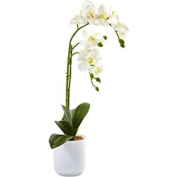 Nearly Natural Phalaenopsis Orchid Frosted