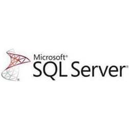 Microsoft SQL Server - license and software provided