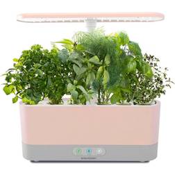 AeroGarden Harvest Slim with Gourmet Herb Seed Pod Kit