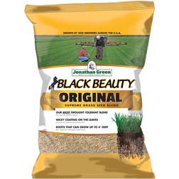 Jonathan Green Black Beauty Fescue Grass Sun or Shade Grass Seed