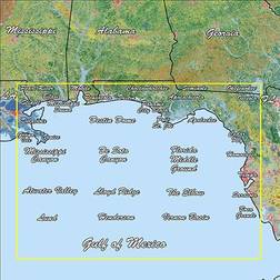 Garmin 010-C1188-00 Gulf Coast Standard Mapping Professional