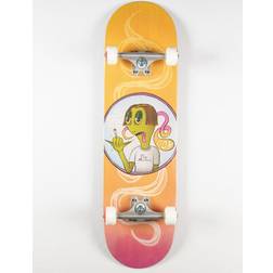 Toy Machine Stoner Sect Skateboard Complete