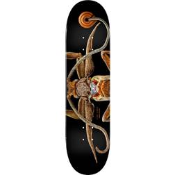 Powell Peralta LB Marion Flightless Moth #243 8.25inch Skateboard Deck