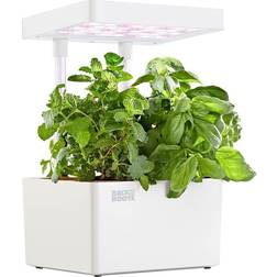 Back To The Roots 3-Pod White Matte Hydroponic Grow Kit