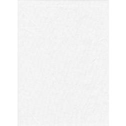 ProMaster Solid Backdrop White 10x12ft