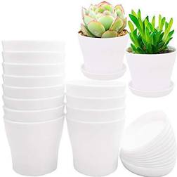 12 Pack 4 Flower Plant Nursery Container