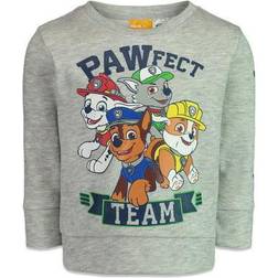 Paw Patrol Chase Marshall Rocky Rubble Big Boys Fleece Sweatshirt Light Heather Gray 8
