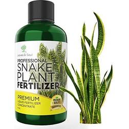 Leaves and Soul Professional Liquid Snake Plant Fertilizer 3-1-2 Concentrate