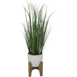 Flora Bunda 31" Onion Grass 6.6" Catheral